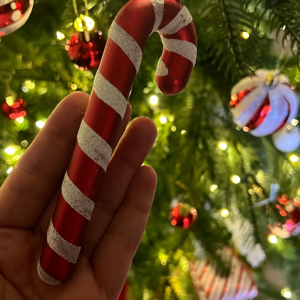 (Listing for YRam) Brand New Candy Cane Set